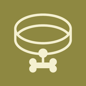 COLLAR, LEADS AND HARNESS